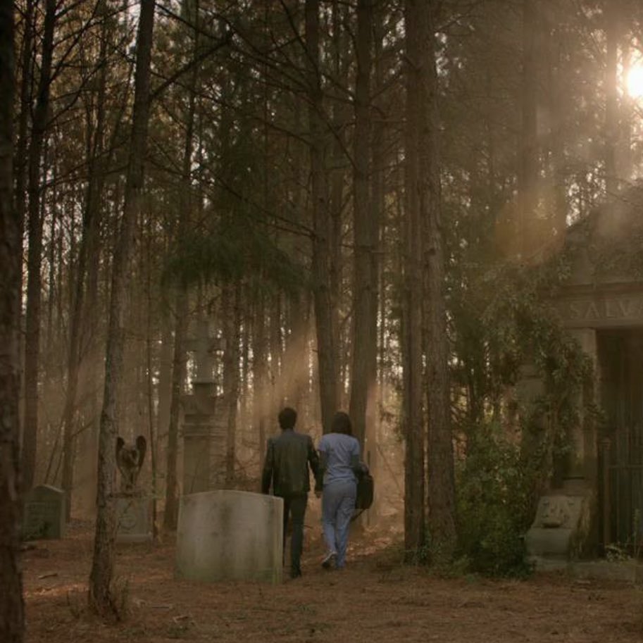 elenaslois's tweet image. did we make it?                   yes we did.