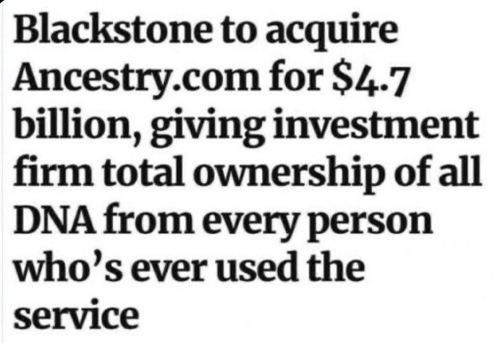 American Ape 🔜 Phase 4 tweet media