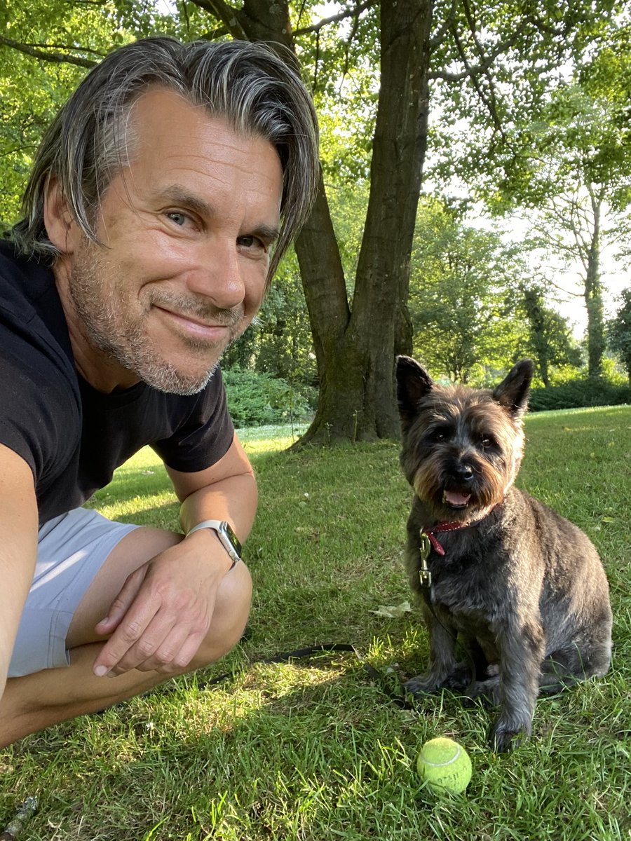 not sure why, but 𝗧𝗢𝗧𝗢 looks really small !? 

#Toto 
#CairnTerrier 
#HamiltonRoadPark