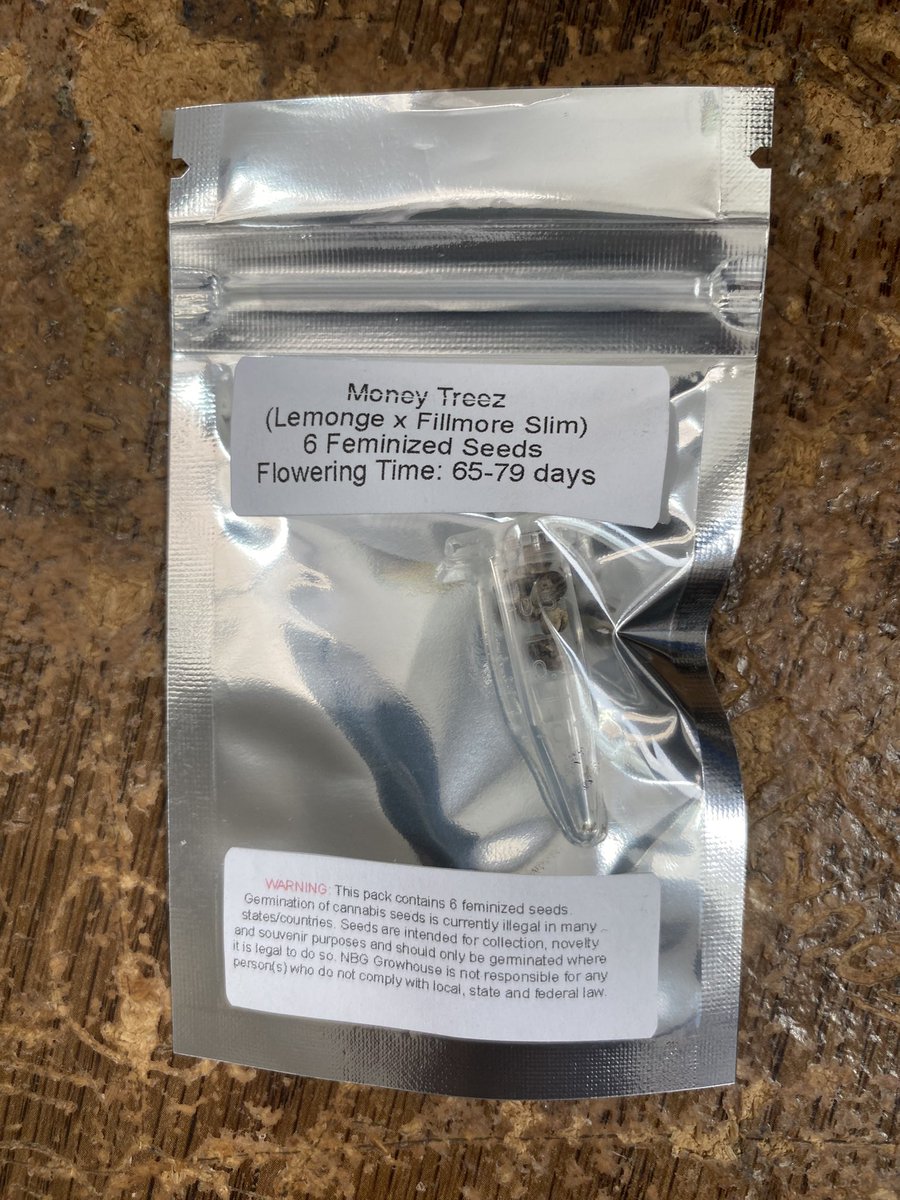 bluntsandjs's tweet photo. Mail call: S/O @nbg_seedco Thank you for the #MoneyTreez beans. Make sure you’re following @nbg_seedco for some 🔥🔥🔥. 
 #NuthinButGas #NBGgrowhouse #GrowYourOwn #SmokeSome #CannabisCommunity #GYO https://t.co/kn5BWCkOgQ