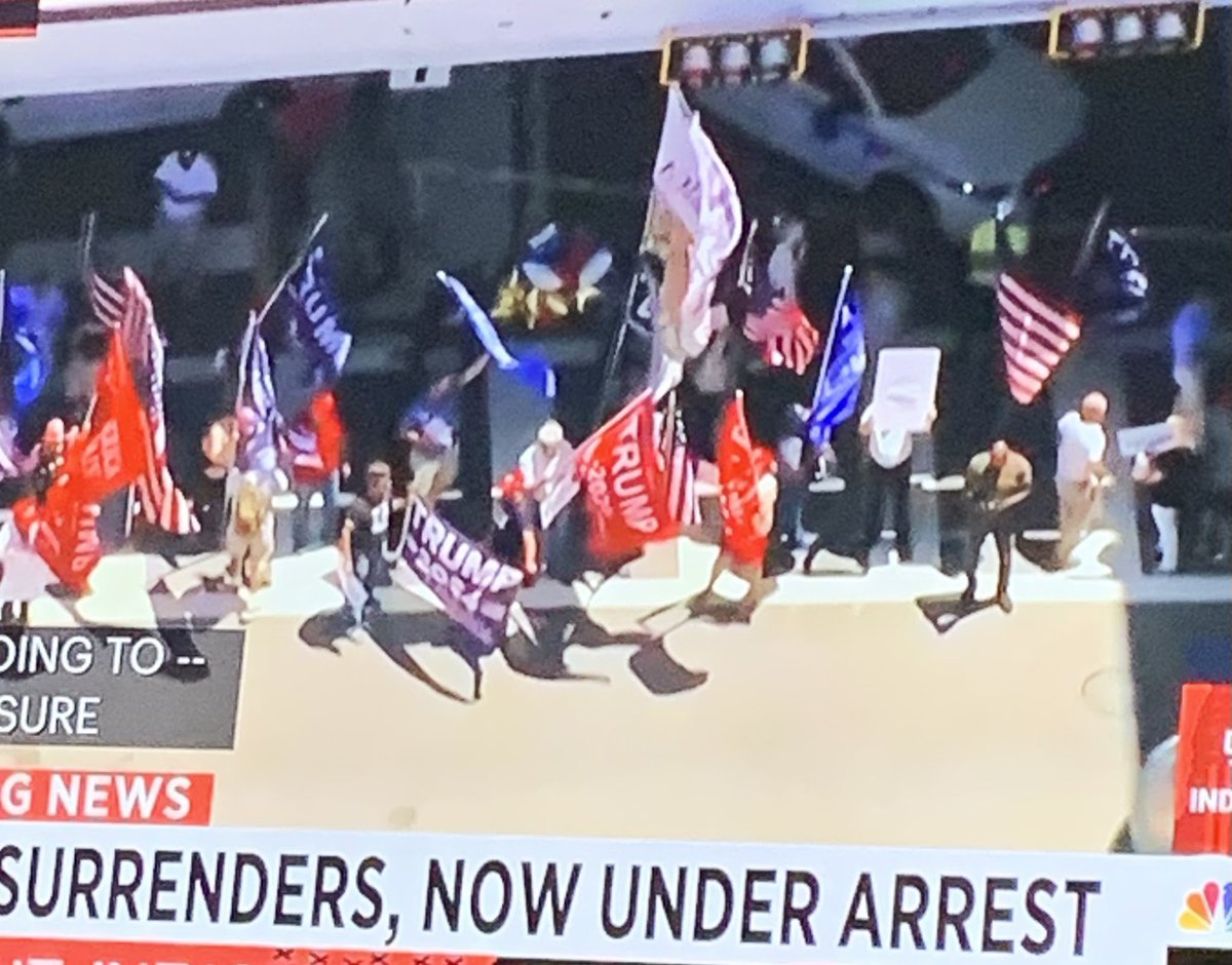 ZorroTheThird's tweet image. #flagcode