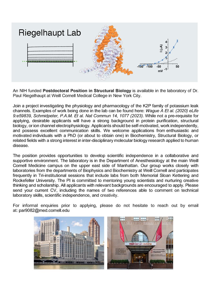 Paul Riegelhaupt tweet media