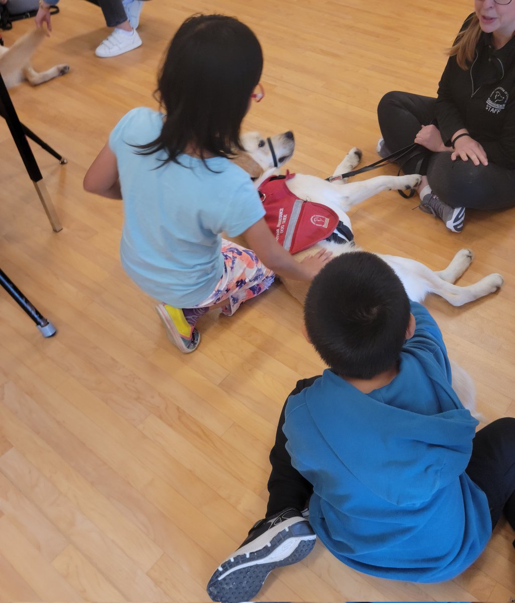 <a href="/SJAOntario/">St.John Ambulance ON</a> autism therapy dogs visited <a href="/sjnycdsb/">St. Justin, Martyr</a> to have a wonderful morning with our alternative program students. Amazing what animals can do to bring confidence, calm, and curiosity out of even our most reluctant students 
<a href="/YCDSB/">York Catholic District School Board</a> @SSD_YCDSB <a href="/DomenicScuglia/">Domenic Scuglia -</a>