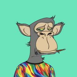 PineLoan_bot's tweet photo. Instant MATIC, Accessed ⚡
One of your degen friends just took out 0.49MATIC ($0.31) #instantliquidity with their #Polygon Ape Yacht Club #8306 NFT.
Got NFTs, but no MATIC? Try out Pine today @ https://t.co/9KDCRWYwxy
#loanbot #cryptoloan #defi #nftfi #nftloan https://t.co/MCHZPBBcTD