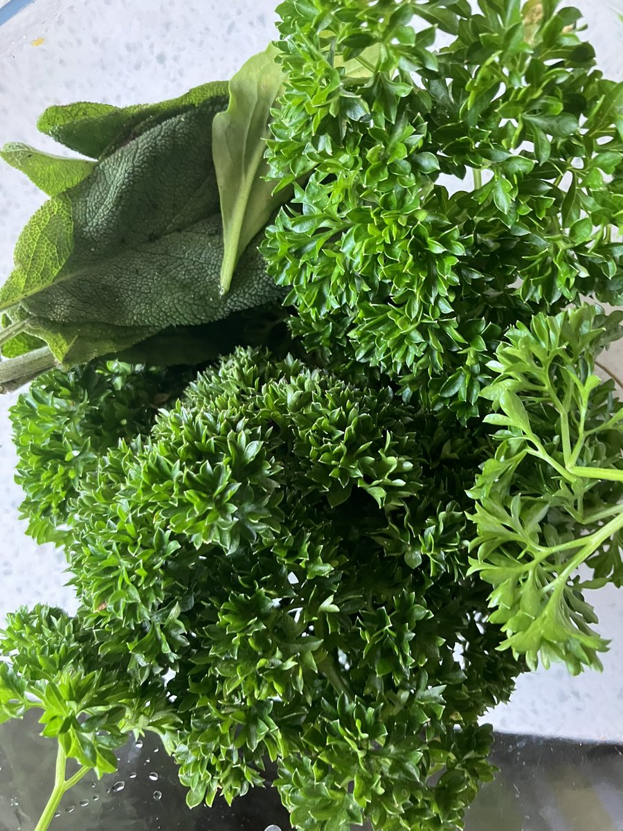 mill_community's tweet photo. Beautiful fresh produce all ready for you at the café tomorrow. Many thanks to the Ladies’ College environmentalists 💖.We are looking forward to seeing you very much! https://t.co/29AK2kZANm