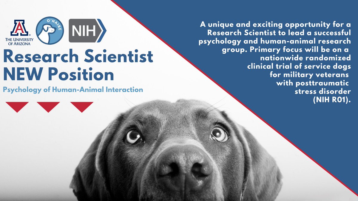 Join the O'Haire Lab as a Research Scientist! Let us know if you have questions. @UAZVetMed For more information on the position and how to apply, click here: arizona.csod.com/ux/ats/careers…