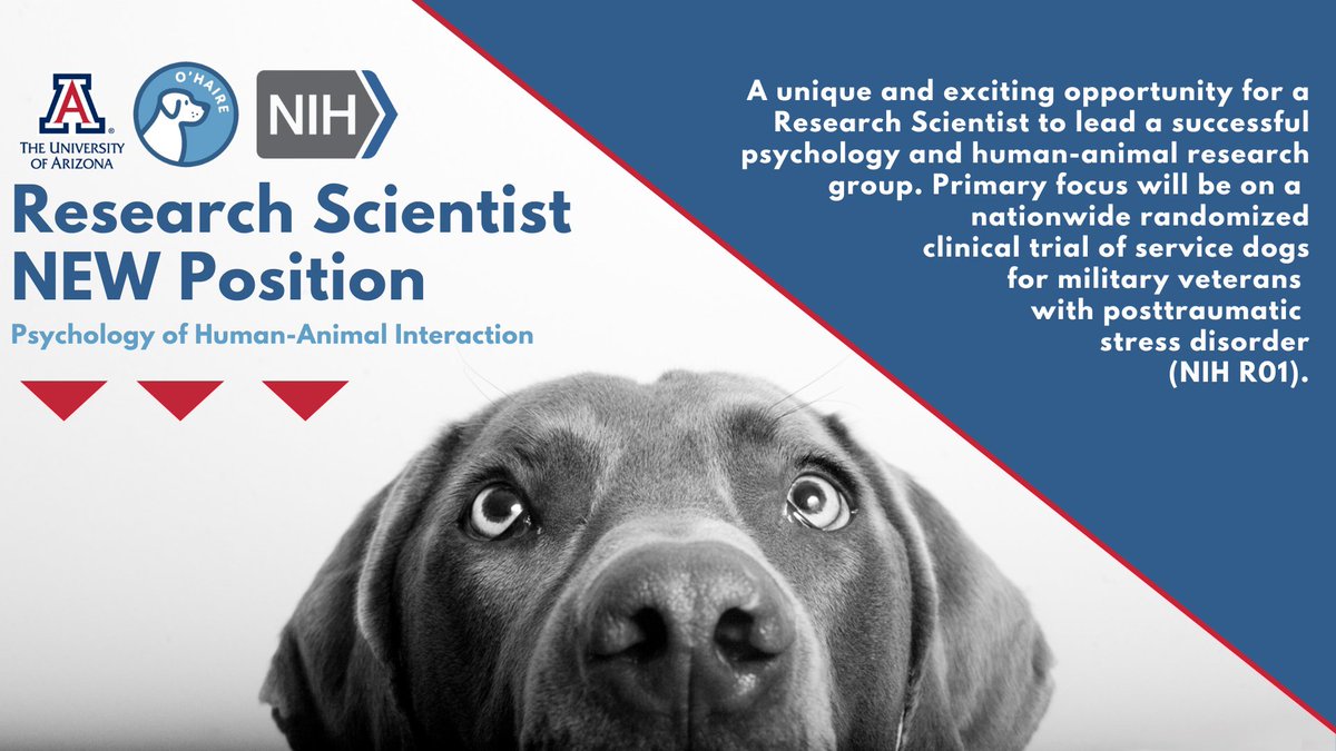 ohairelab (@ohairelab) on Twitter photo Join the O'Haire Lab as a Research Scientist! Let us know if you have questions. <a href="/UAZVetMed/">UAZ College of Veterinary Medicine</a>
For more information on the position and how to apply, click here: arizona.csod.com/ux/ats/careers… Join the O'Haire Lab as a Research Scientist! Let us know if you have questions. <a href="/UAZVetMed/">UAZ College of Veterinary Medicine</a>
For more information on the position and how to apply, click here: arizona.csod.com/ux/ats/careers…