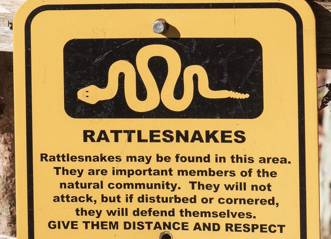It&rsquo;s me. I&rsquo;m rattlesnakes 🐍 https://t.co/qYcVILhvm8<a href="/tag/scissorholds"class="tags"><span>#scissorholds</span></a><a href="/tag/submissionhold"class="tags"><span>#submissionhold</span></a><a href="/tag/legscissors"class="tags"><span>#legscissors</span></a>