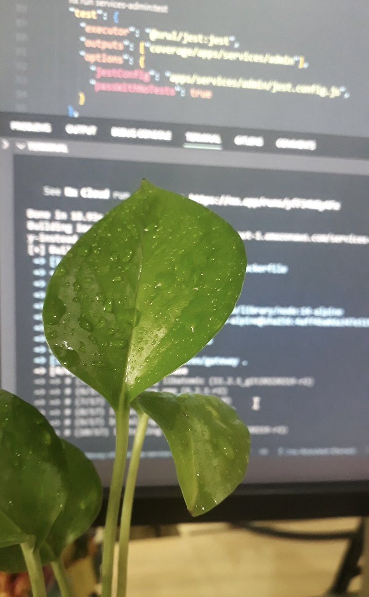 ab_etemadi's tweet image. Day 21 / #100DaysOfCode 

Life is full of challenges, but that doesn&apos;t mean we should give up

Today @MustafaAswadi and I launched our first startup, #IPGeoLocation, 

This AM Tech - the dream of our university course 😂
#buildinpublic #opensource #nestJs #nextJs