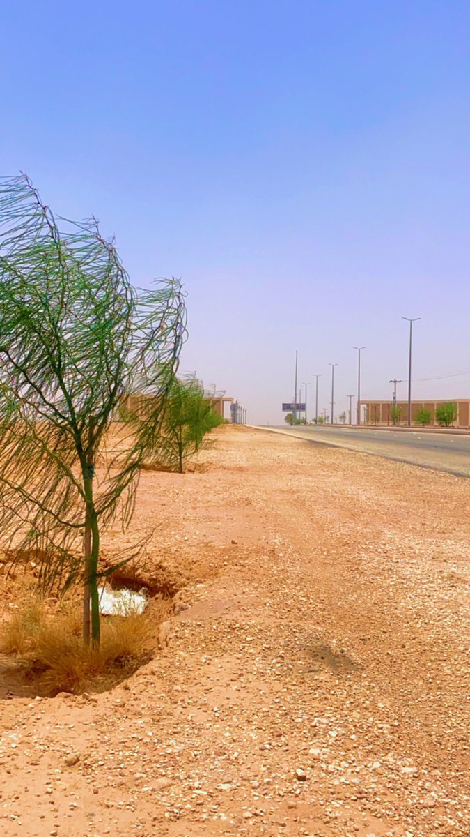 MahmmedSharhan's tweet photo. ما أجمل #التشجير وما اعظم أجره وفوآئده التي لاتعد ولا تحصى . ومن ضمن مبادرات سيدي ولي العهد #محمد_بن_سلمان_بن_عبدالعزيز 
في اطلاق مشاريع ومبادرات#الرياض_الخضراء و#المملكة_الخضراء . ماقامت به #بلدية_جلاجل من تكثيف التشجير والعناية به يستحق الشكر . شكراً رئيس البلدية وقسم الزراعة🙏 https://t.co/aTO5o5BsPy