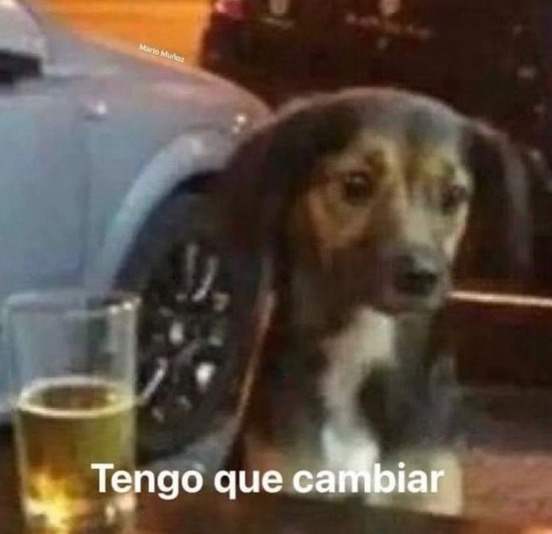 tOdatiti's tweet photo. Con este perro calor entendí que no la voy a armar en el infierno 😢 https://t.co/N46dxaSPdI