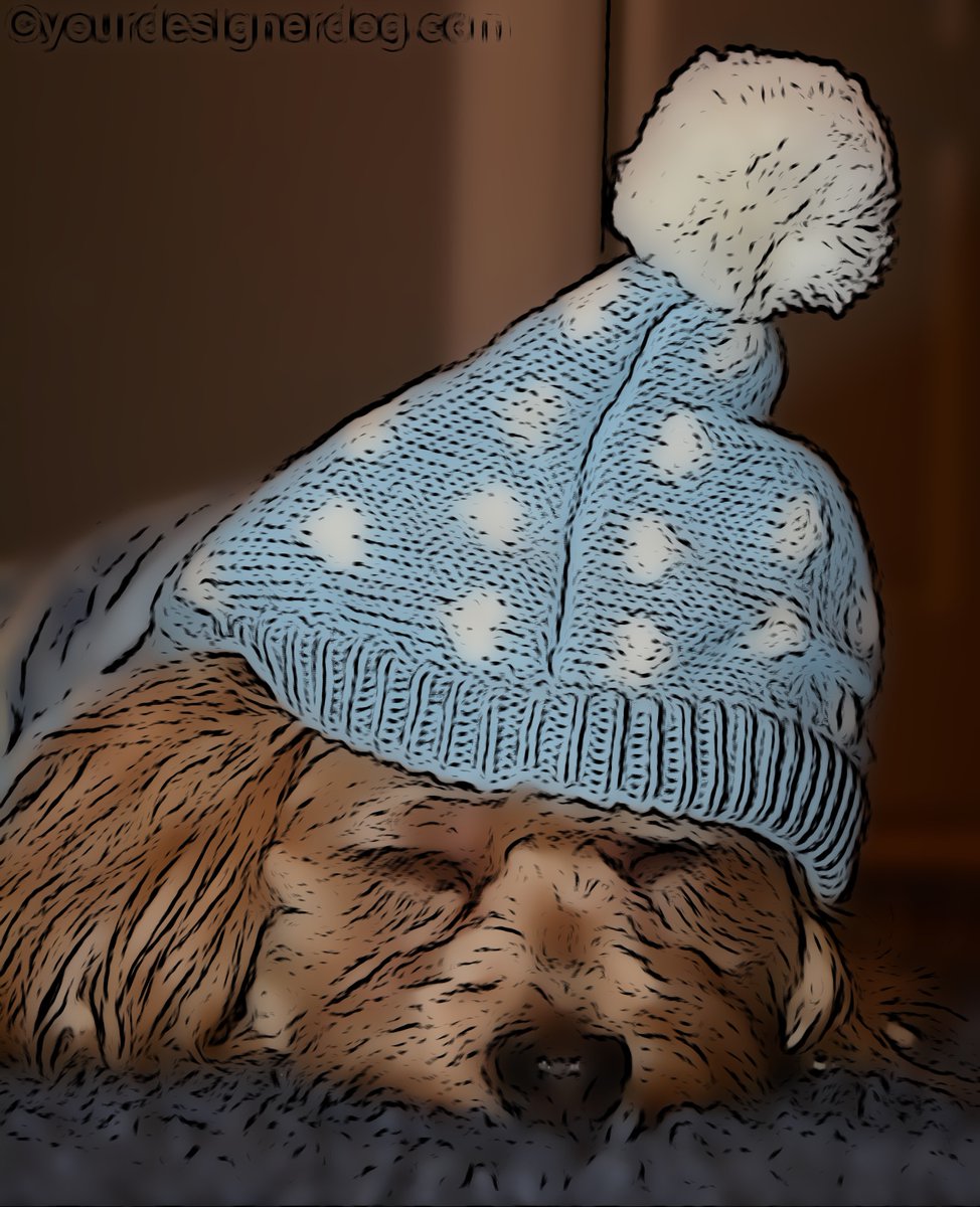 A Long Winter’s Nap is.gd/PjSKOE #blog #cold #digitalart #petportrait #pompomhat #sleepypuppy #warm #winter