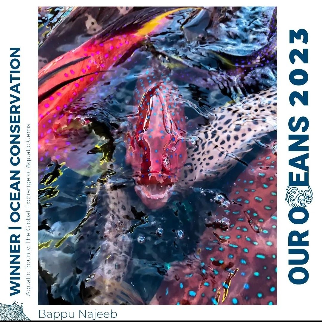 Winner, Ocean Conservation category of "Maldives - Our Oceans 2023" Underwater photography competition.

Congratulations <a href="/BappuNajeeb/">Bappu</a>!!!! 

<a href="/fourth_element/">fourth element</a> <a href="/visitmaldives/">Visit Maldives</a> <a href="/SwissD1VER/">Swiss D1VER Watch</a>