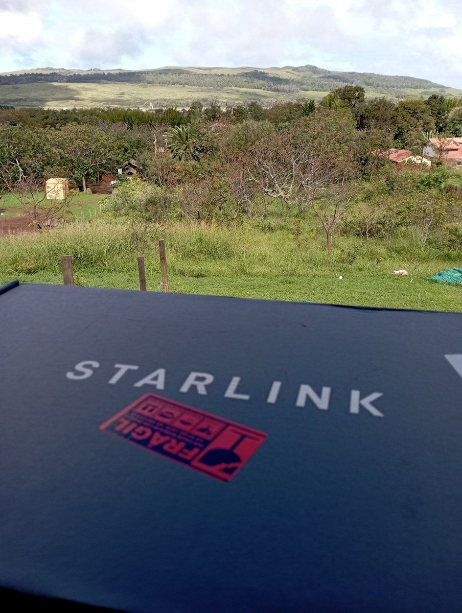 Moreno Pakarati 🗿 tweet media