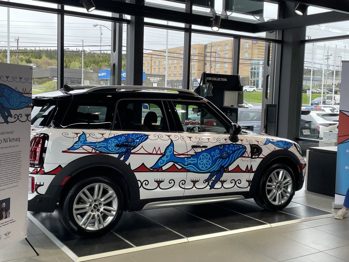 Anne Chafe tweet media