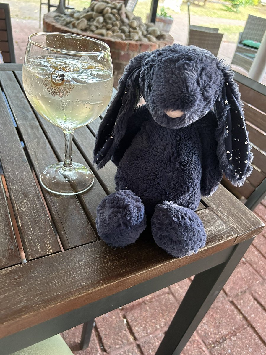 lozzanater92's tweet photo. I’m away seeing family and found Clara in bed reading after being out all day and star is after my gin
Can’t keep these two under control 😂
#collector #stuffiesofinstagram #jellycat #jellycatbunny #jellycatsofinstagram #jellycatcollector #buildabear #buildabearcollector https://t.co/0LqpoOiHww