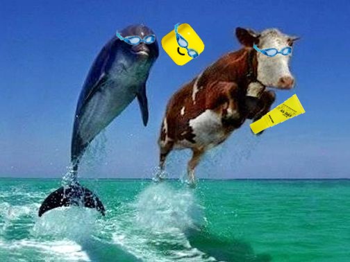 rly excited to dive into summer w my bffs &lt;3 remember to wear spf everyone