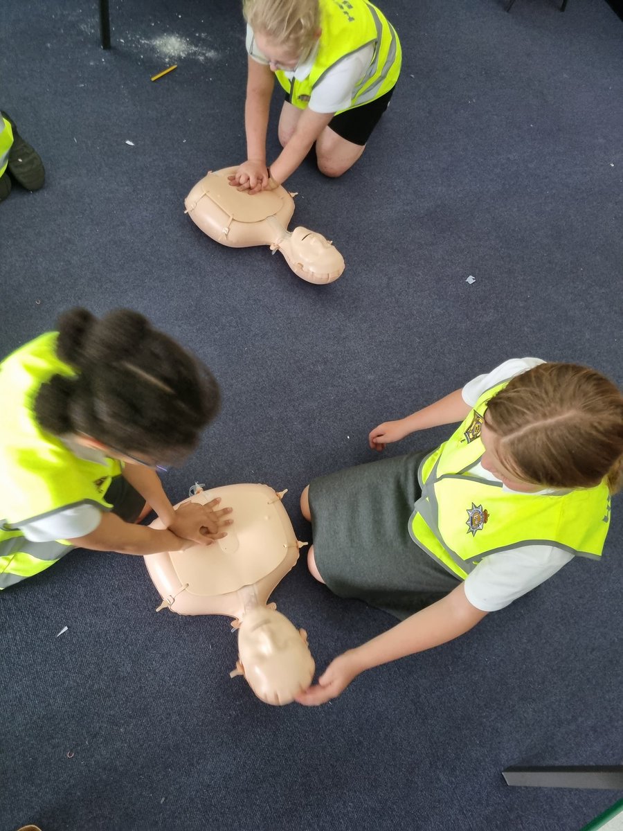 Deri View Primary tweet media