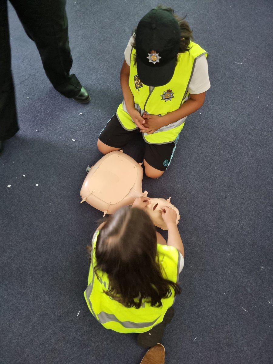 Deri View Primary tweet media