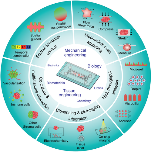 SAOscience's tweet photo. If you would like to learn more about #organoid and #spheroid technology, we recommend this recent paper from @NTUsg, @UTS_Sci_IBMD &amp; @SUSTechSZ researchers Guocheng Fang, Yu-Cheng Chen, @TwittHLu &amp; @DayongJin in @AdvSciNews #AdvancedFunctionalMaterials
https://t.co/gTGta0l01h https://t.co/vASJDq6hUc