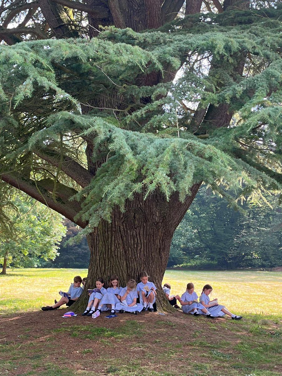 Could there possibly be a better place to read than under the shade of a beautiful tree? #farleighfamily #dropeverythingandread