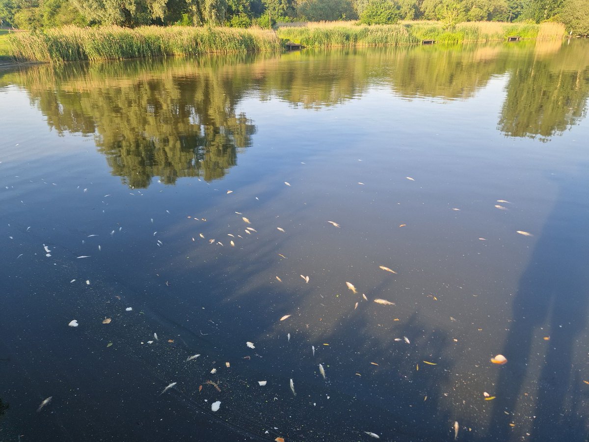 Kyle Knowles tweet media