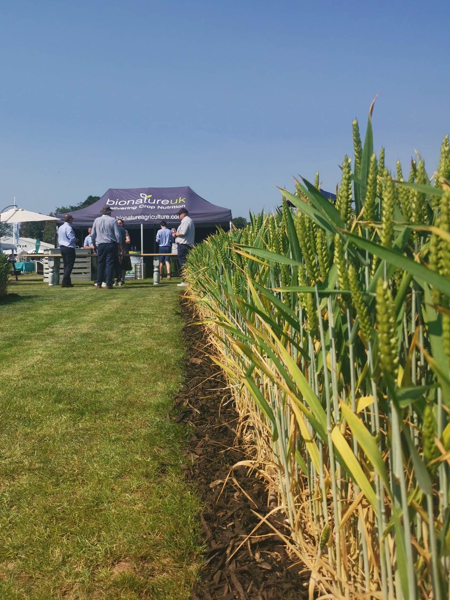 BionatureAgri's tweet photo. We had a fantastic day at @CerealsEvent . Thanks to everyone who came to see us at stand 311 and learned how BioNatures products can help increase and boost the yield of your crops.
Tomorrow brings day two!
We can't wait.
#BioNature #Cereals2023 https://t.co/hlpY4gvjzI