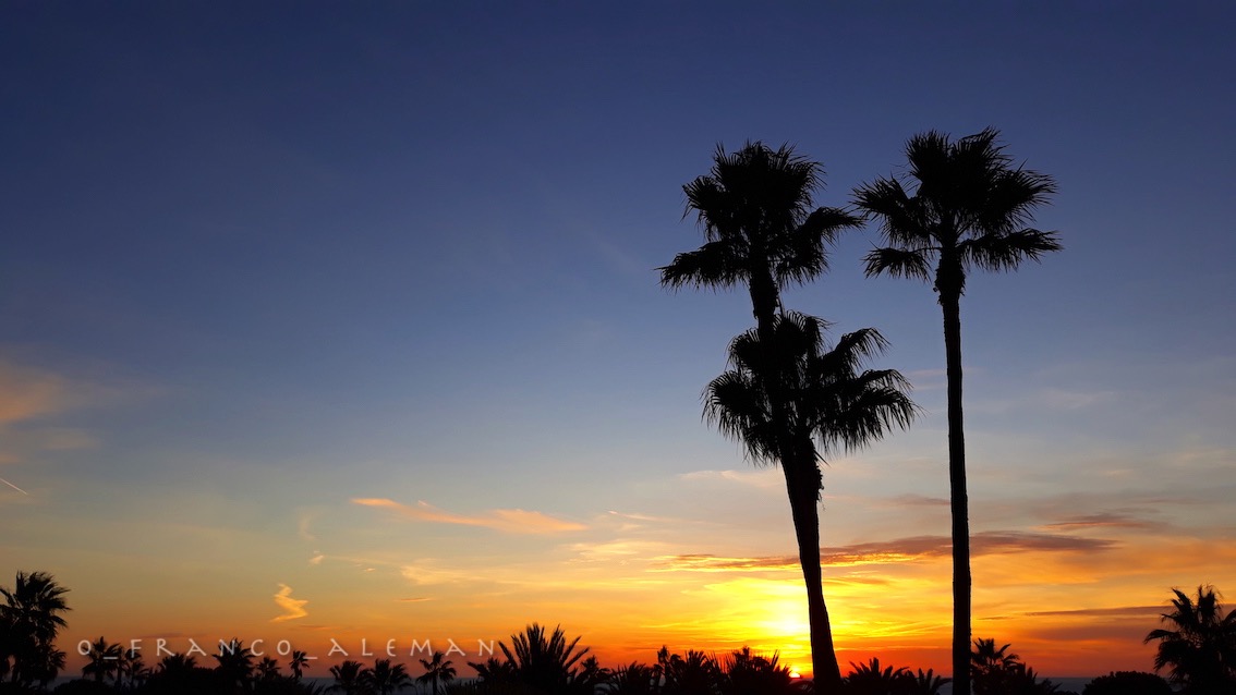 good night! 💫

boa noite! 

✨

#sweetdreams #BonneNuit #GuteNacht #BuenasNoches #Buonanotte #palmtrees