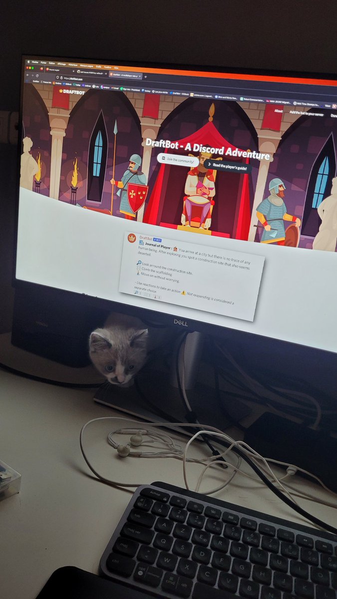 Crownicles tweet media