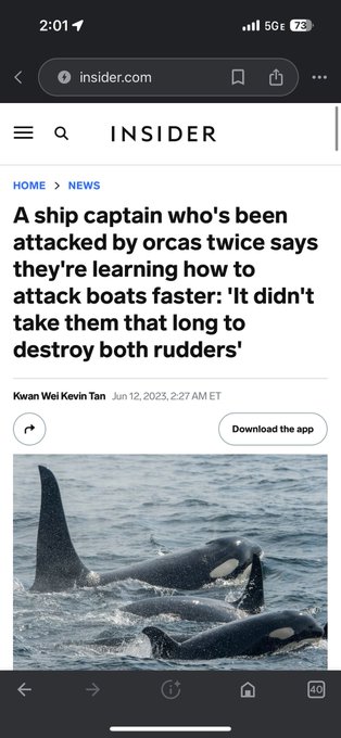 I, for one, welcome our new orca overlords https://t.co/C7Kv4ksYwp