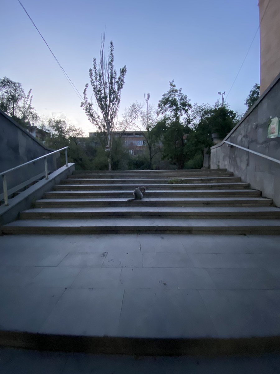 Elena Bro (@bro_elena_la) on Twitter photo 