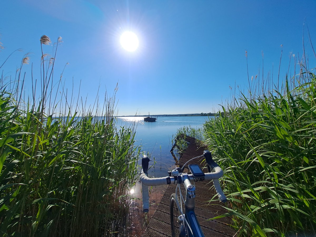 bikeAlottle's tweet photo. Gorgeous day, ride after work solo for a change. My biketeam at work were all busy today 🤷
Took BlueJay for a spin to #Feddet
#aatr #lovecycling #goingtothebeach #summerinDenmark ☀️🚴♀️😎 https://t.co/qsyru5K56f