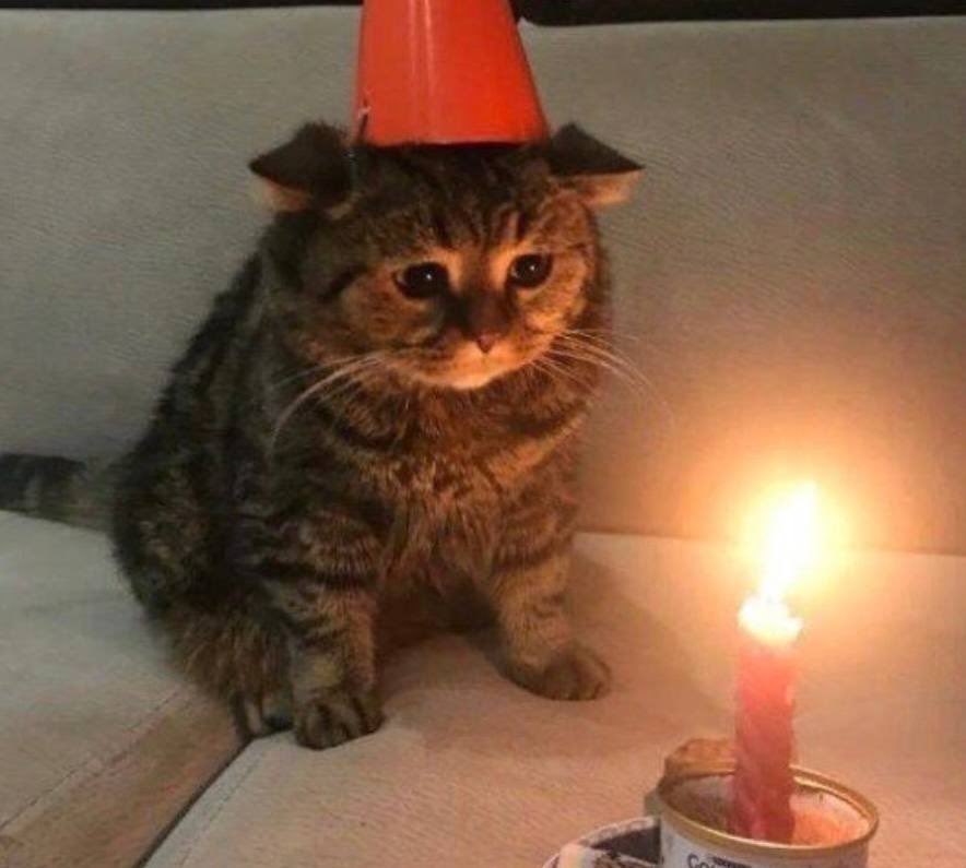 راستی امسال یک جشن تولد کوچولو هم داریم که قراره توش کلی به هممون خوش بگذره، اگه واسه تولدمون کادو نخریدین اشکالی نداره اما حتما بیاین🥺

لینک ورود به جشن تولد : 
raychat.io/7thbirthday