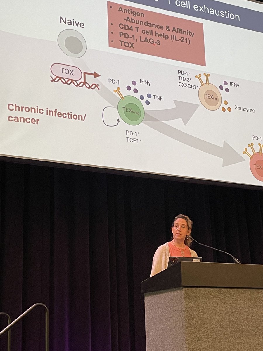 Jeff Rathmell (@jeffrathmell) on Twitter photo <a href="/Tcellogic/">Kaechlab (Sue Kaech)</a> is up to wrap up the Southeast Immunology Symposium @VUMC_VCI #SIS . A great way to finish a fun meeting <a href="/Tcellogic/">Kaechlab (Sue Kaech)</a> is up to wrap up the Southeast Immunology Symposium @VUMC_VCI #SIS . A great way to finish a fun meeting