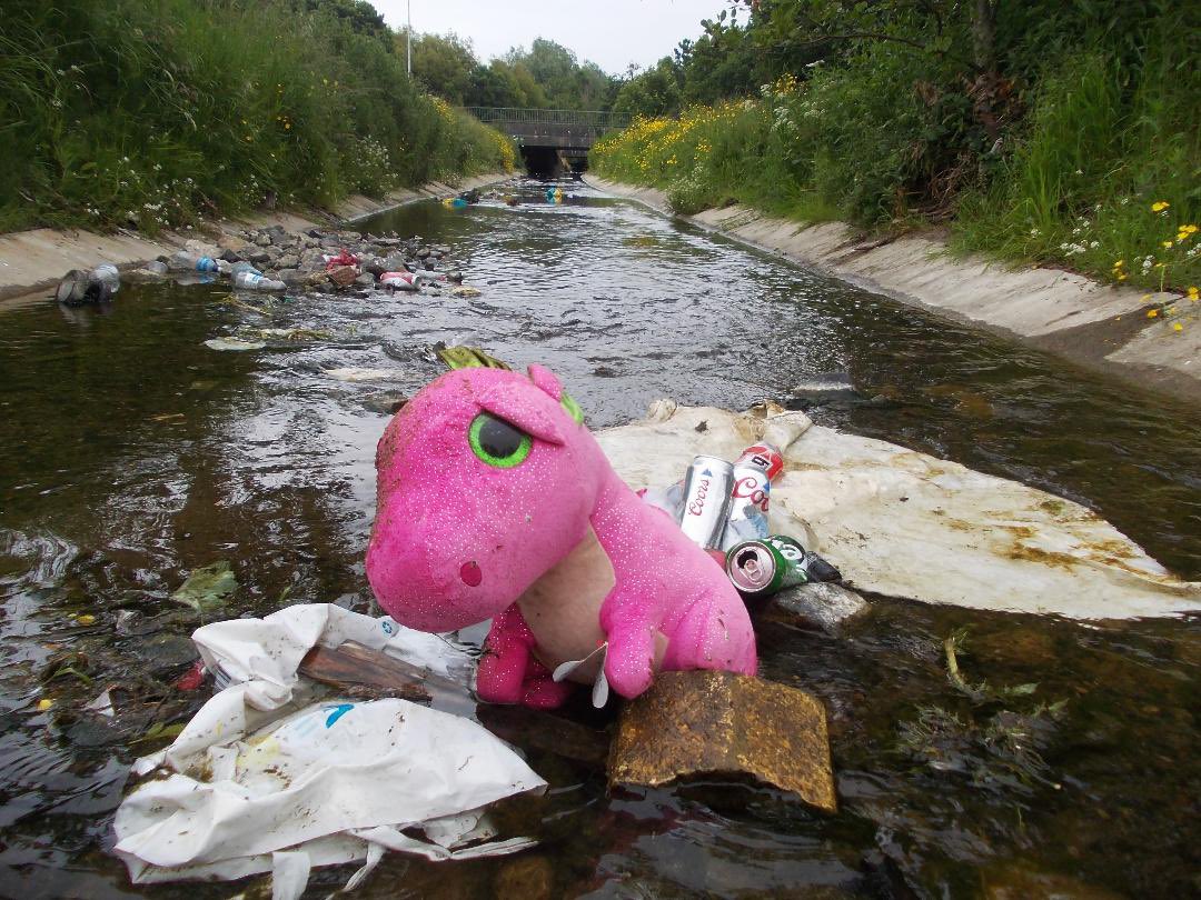 This sad little dinosaur was found floating in the Whitestown Stream as it flows through Killinarden Park. Please join us to rescue Dino and all his other litter pals on Saturday 24th June at 10.30. Meet at the park gates beside Croi Ro Naofe GAA Club. Pickers and bags provided.