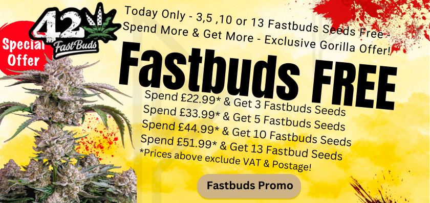 gorillaseeds's tweet photo. FastBUDS FREE 48 Hours ONLY https://t.co/nrreX14i9p https://t.co/Y6bQ8Hr7jP