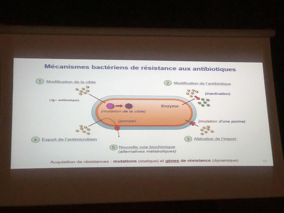 LCPME - UMR 7564 tweet media