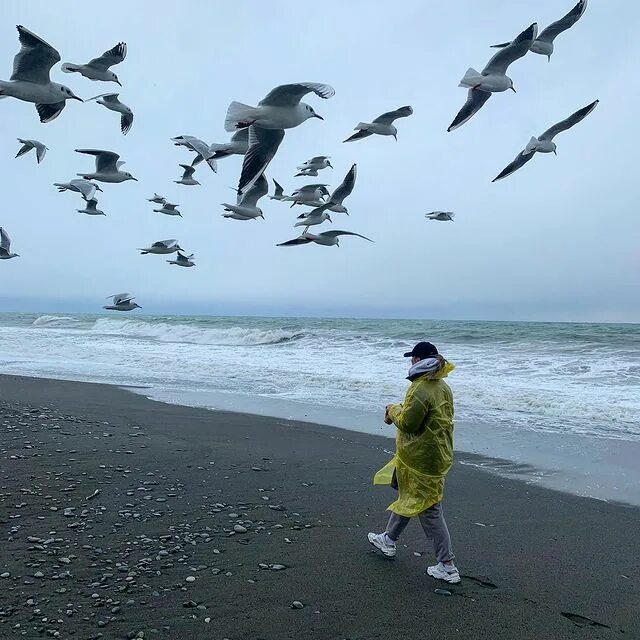 🤍
Bir gün yaşayan hiç kimsenin
anısı olmayacağız.
Yine de sonsuzluk bizmişiz gibi
yaşayacağız dünyayı.'🌊

Şükrü Erbaş