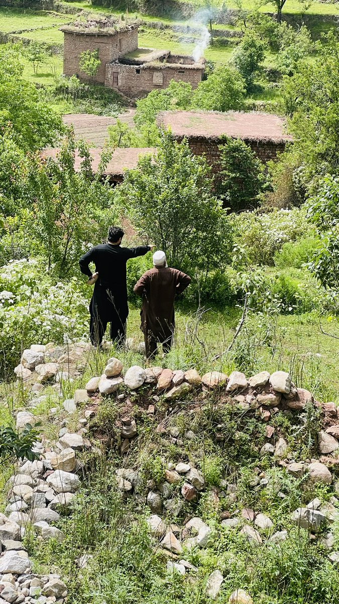 amirzadaafridi1's tweet photo. #StopDeforestationInTirah
یہ دو دن پہلےتصاویر ہیں ،اس وادی میں جولائی،اگست میں لوگ چادرکمبل اوڑھ کر گھومتےتھےاب اپریل جیسی گرمی محسوس ہوتی ہےجس کی وجہ درختوں کی کٹائی ہے۔پاک فوج،ضلعی انتظامیہ جنگلات والےہیں مگراس کے باوجود بھی کٹائی جاری ہے ؟مقامی آفریدی بھی ملوث ہیں جانتاہوں https://t.co/fForiLVmfZ