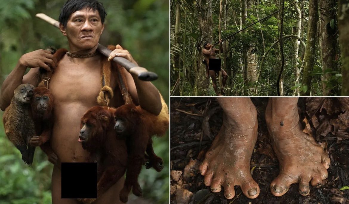 The Huaorani tribe, also known as Waorani or Waos, is an indigenous group residing in Eastern Ecuador within the Amazon rainforest. This isolated tribe, consisting of approximately 4,000 members, has a unique cultural and linguistic heritage. Their language is distinct and