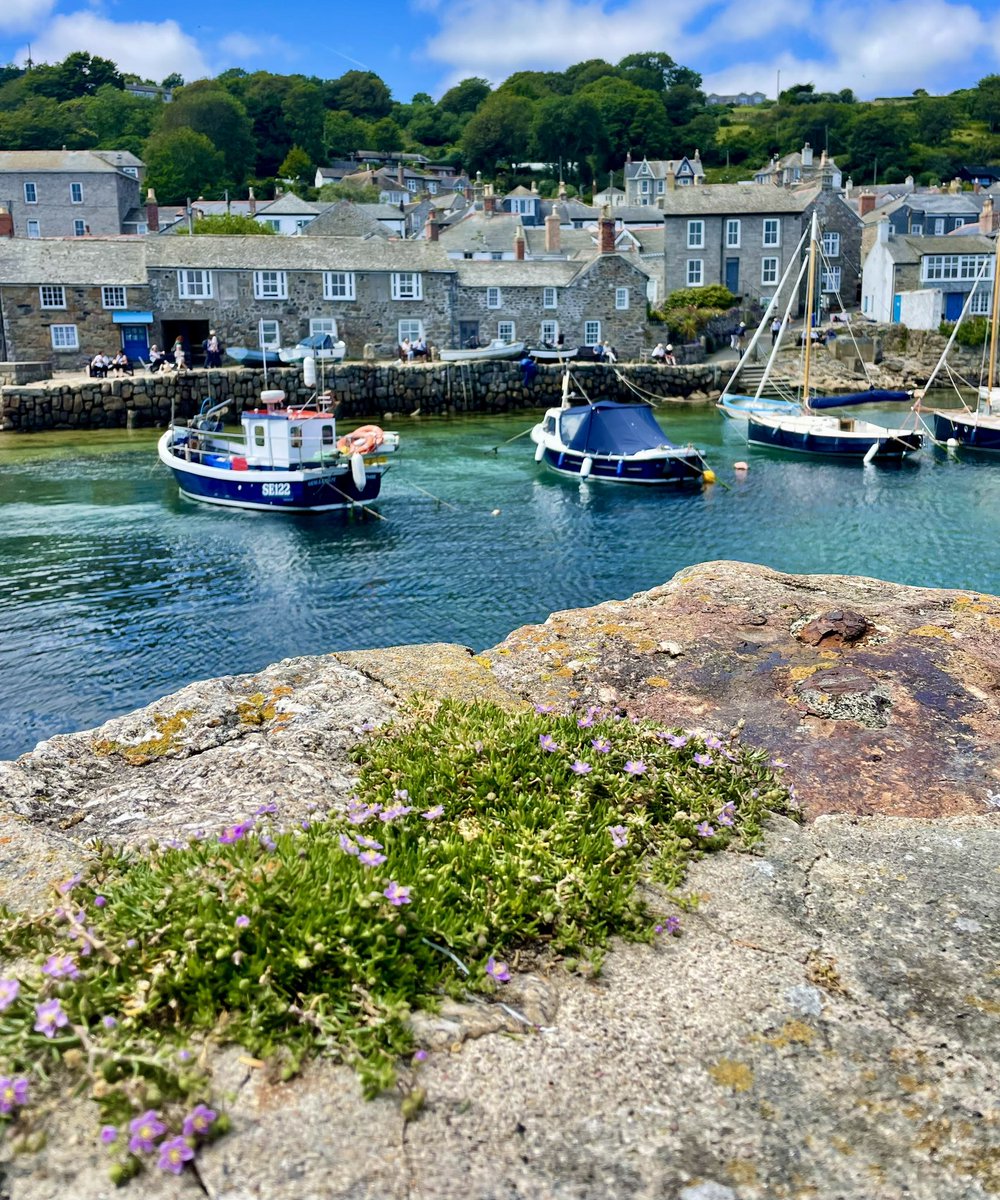 Mousehole Heritage Walks tweet media