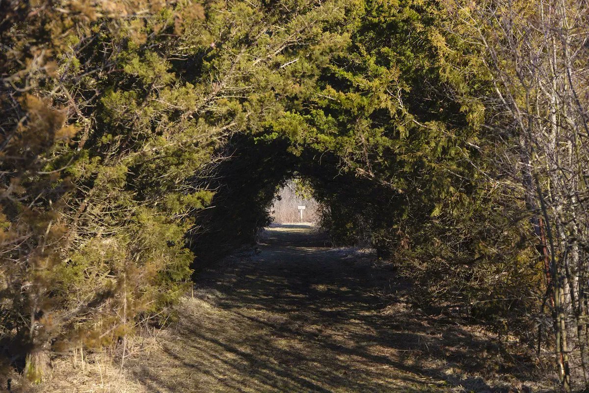 VisitIndiana's tweet image. Get Out &amp;amp; Explore Nature at This East Central Indiana Forest Preserve 😍 

𝐑𝐄𝐀𝐃 𝐌𝐎𝐑𝐄: bit.ly/3nvcuB1 

#Outdoors #INIndiana @fortheland_RLC @ForgeECI