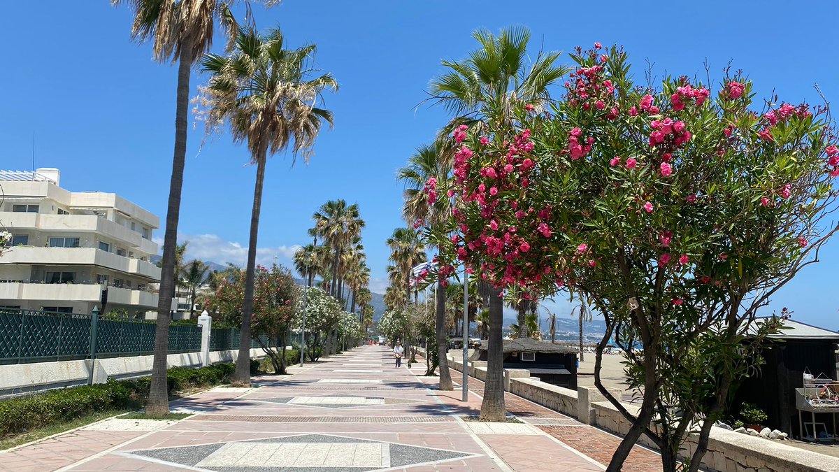 Welcome to rush hour on the Golden Mile #marbella #costadelsol #spain #peace #healthylifestyle #healthiswealth #livelife #lovelife #goldenvisa #solvida365 #charterlife