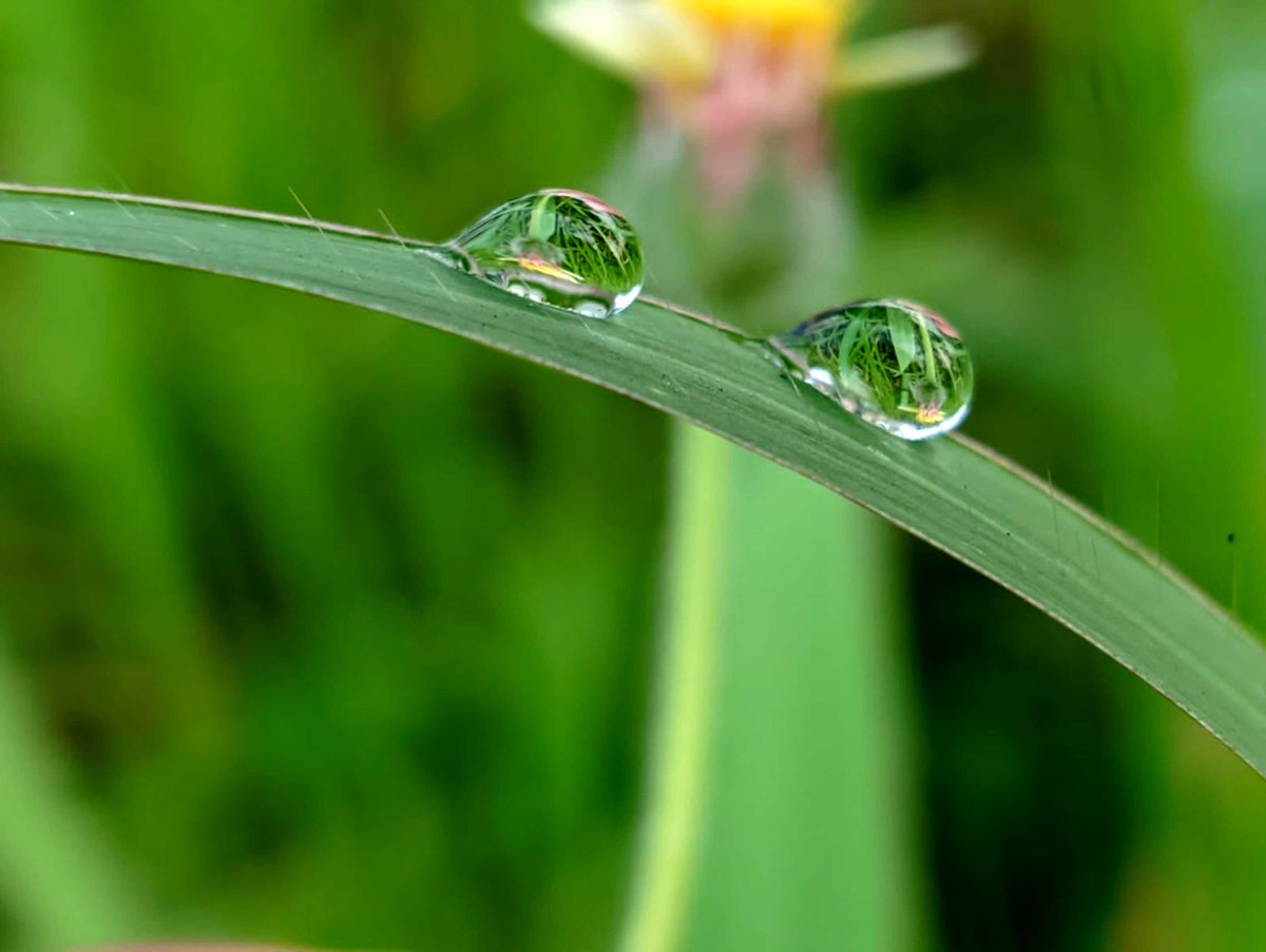 baskadia's tweet image. Very fine water droplets
- Bucheさんの作品

#創作 #アート