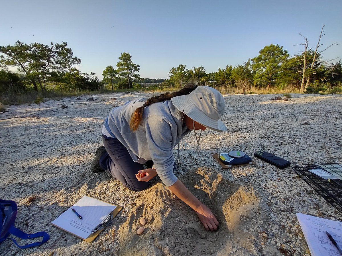 Jessica McGlinsey, M.Ed. tweet media