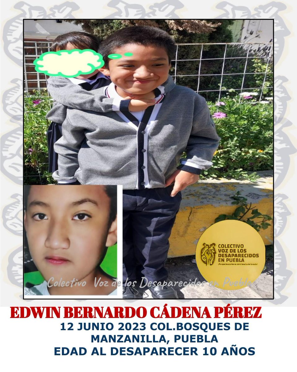 Pedimos su colaboración para localizar a: #Edwin_Bernardo_Cadena_Pérez Edad: 10 años desaparecio 12 junio 2023 en la colonia Bosques de Manzanilla #Puebla Cualquier información será anónima y confidencial 📩📞 2225801683 #solidarios @AmberAlertaNoOf @botDesaparecidx