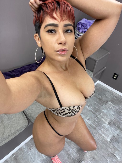July 12th I will be shooting with @EnchantressSahr For customs please email me at MsJamieDaniels@Proton<a class="tags" href="/tag/enchantresssahr">@enchantresssahr</a>