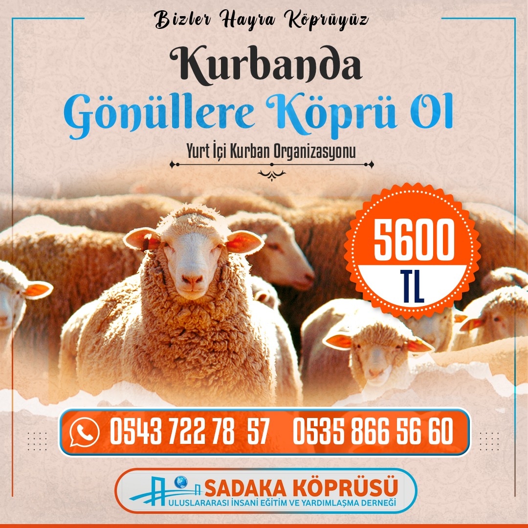 Yurt içi kurban kesim organizasyonumuz devam etmektedir.Siz Değerli gönüllülerimizin desteklerini bekliyoruz..
#Türkiye #Kurban #Şanliurfa