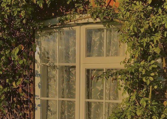 ⠀

⠀2023年06月14日  ✸  雪絵
⠀everybody loves the sunshine.  

⠀⠀