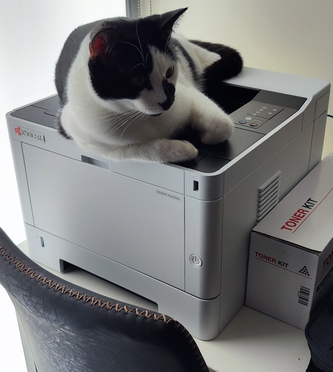 drmarkjbutler's tweet photo. Black and white printer #CatsOfTwitter https://t.co/0v5SsENHK5